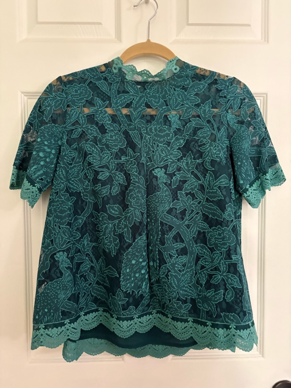 ANTHROPOLOGIE- HD in Paris Teal Lace Floral Peacock Short-Sleeve Blouse Sz 6